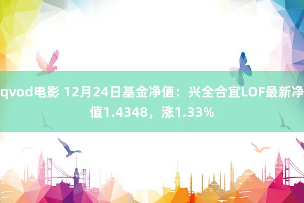 qvod电影 12月24日基金净值：兴全合宜LOF最新净值1