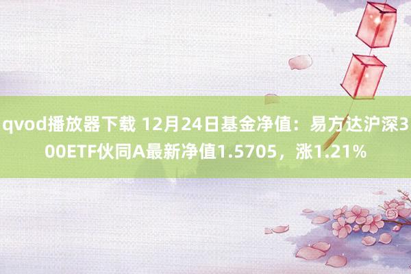 qvod播放器下载 12月24日基金净值：易方达沪深300E