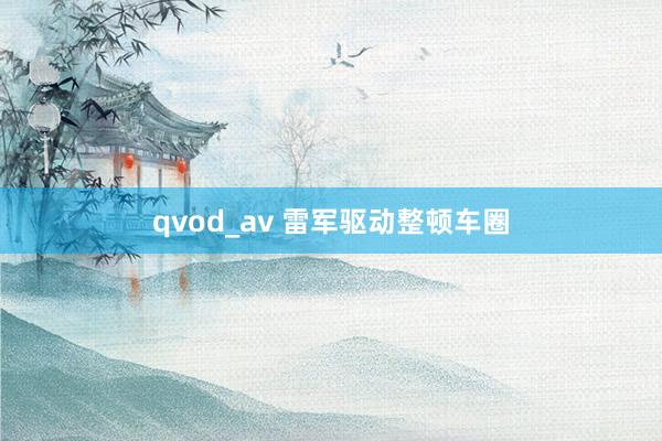 qvod_av 雷军驱动整顿车圈