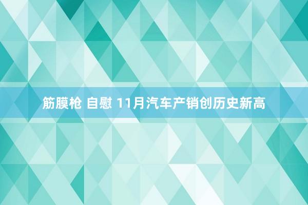 筋膜枪 自慰 11月汽车产销创历史新高