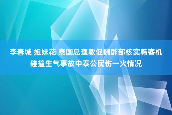 李春城 姐妹花 泰国总理敦促酬酢部核实韩客机碰撞生气事故中泰公民伤一火情况