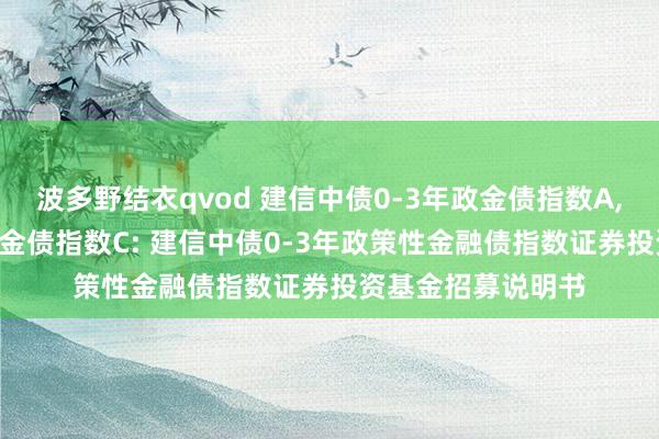 波多野结衣qvod 建信中债0-3年政金债指数A，建信中债0-3年政金债指数C: 建信中债0-3年政策性金融债指数证券投资基金招募说明书