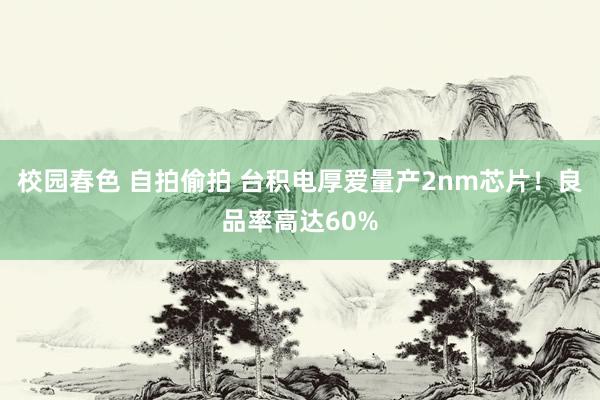 校园春色 自拍偷拍 台积电厚爱量产2nm芯片！良品率高达60%