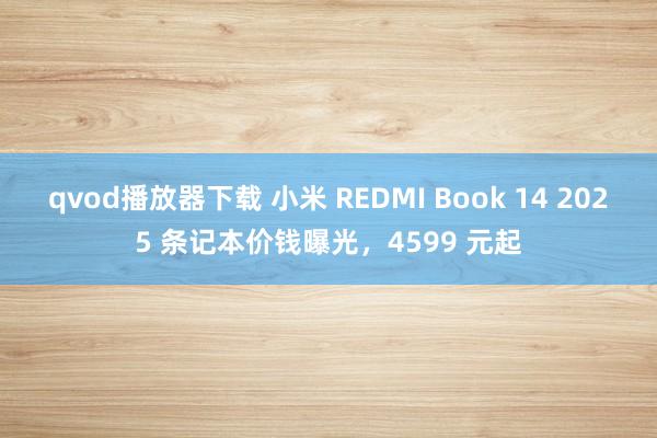 qvod播放器下载 小米 REDMI Book 14 2025 条记本价钱曝光，4599 元起