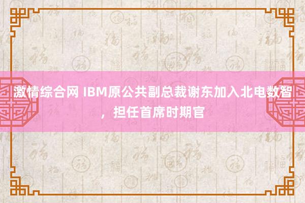 激情综合网 IBM原公共副总裁谢东加入北电数智，担任首席时期官