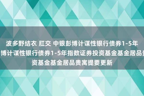 波多野结衣 肛交 中银彭博计谋性银行债券1-5年指数: 中银彭博计谋性银行债券1-5年指数证券投资基金基金居品贵寓提要更新