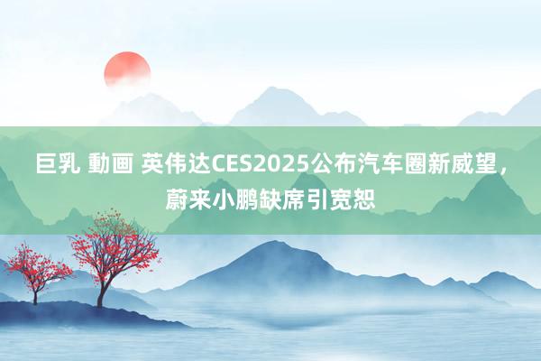 巨乳 動画 英伟达CES2025公布汽车圈新威望，蔚来小鹏缺