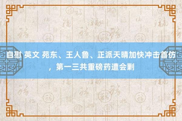 自慰 英文 苑东、王人鲁、正派天晴加快冲击首仿，第一三共重磅