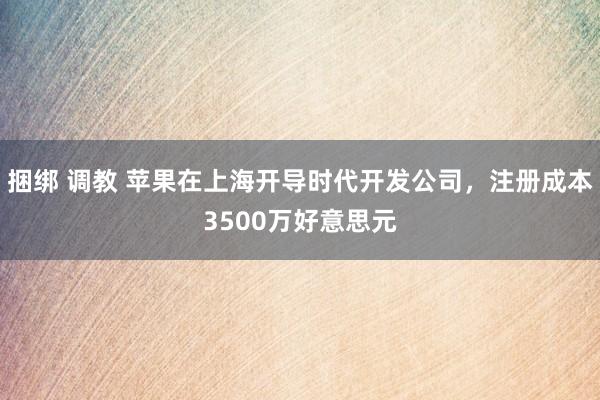 捆绑 调教 苹果在上海开导时代开发公司，注册成本3500万好