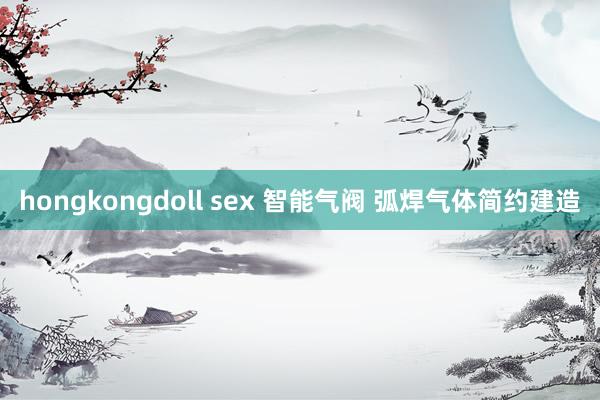 hongkongdoll sex 智能气阀 弧焊气体简约建造