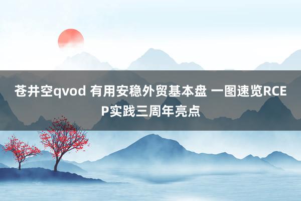 苍井空qvod 有用安稳外贸基本盘 一图速览RCEP实践三周年亮点