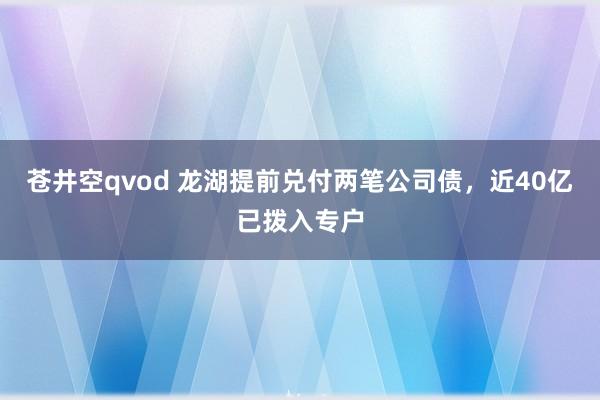 苍井空qvod 龙湖提前兑付两笔公司债，近40亿已拨入专户