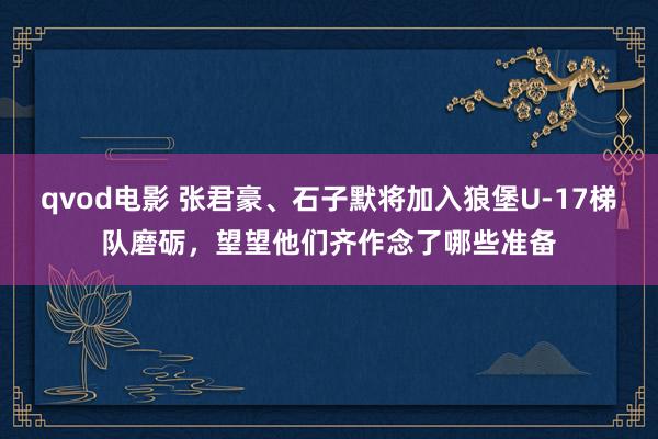 qvod电影 张君豪、石子默将加入狼堡U-17梯队磨砺，望望